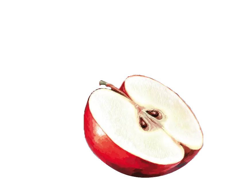 einacher_produkt_detailseite_direktsaftschorle_apfel_johannisbeere_vordergrund