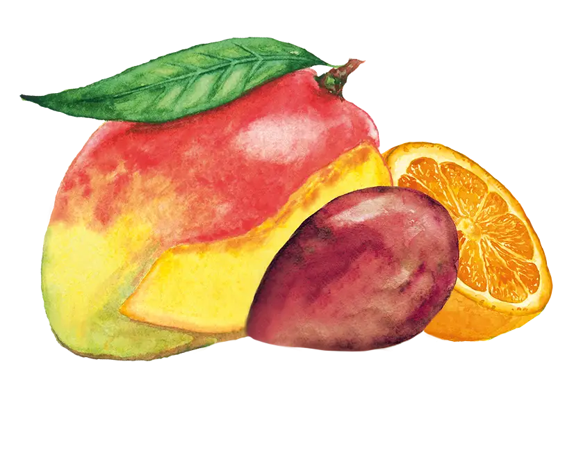 einacher_produkt_detailseite_mango_maracuja_orange_hintergrund