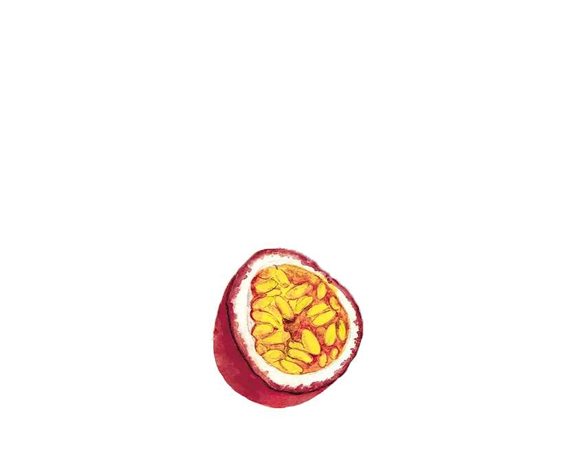 einacher_produkt_detailseite_mango_maracuja_orange_vordergrund