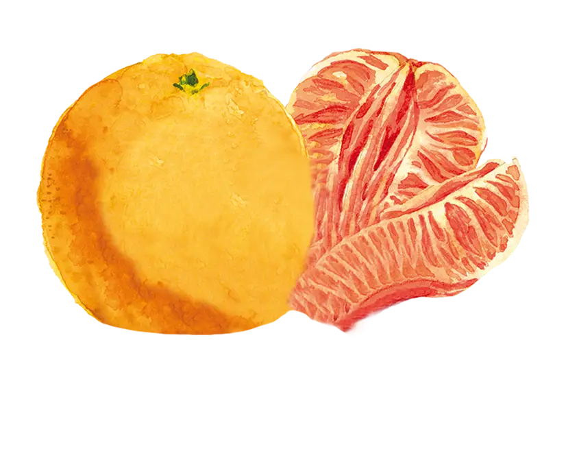 einacher_produkt_detailseite_orange_mandarine_frucht_hintergrund