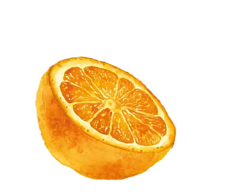 einacher_produkt_detailseite_orange_mandarine_vordergrund