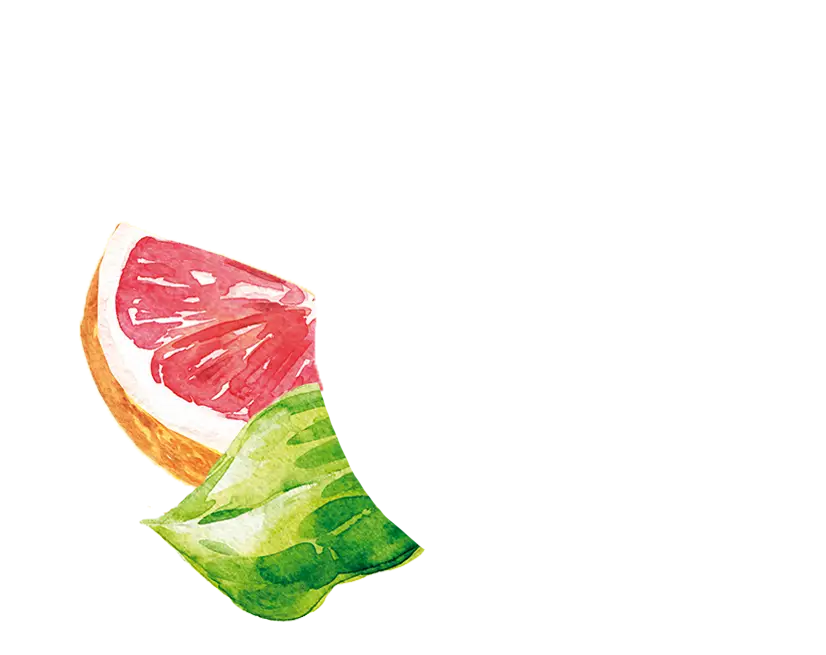 einacher_produkt_detailseite_pink-grapefruit_blattwerk_frucht