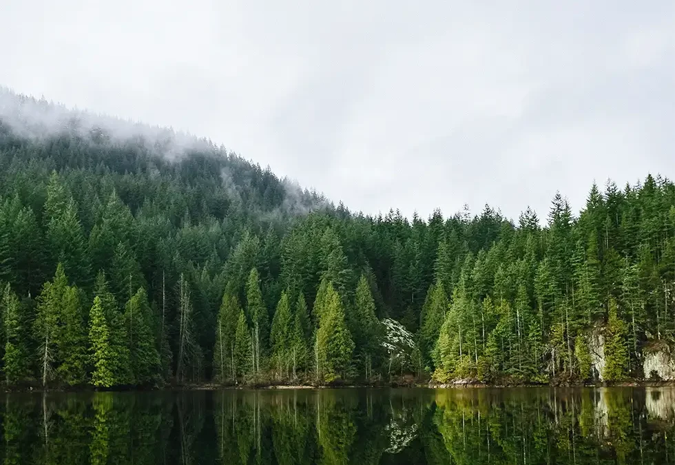 Natur für Geniesser