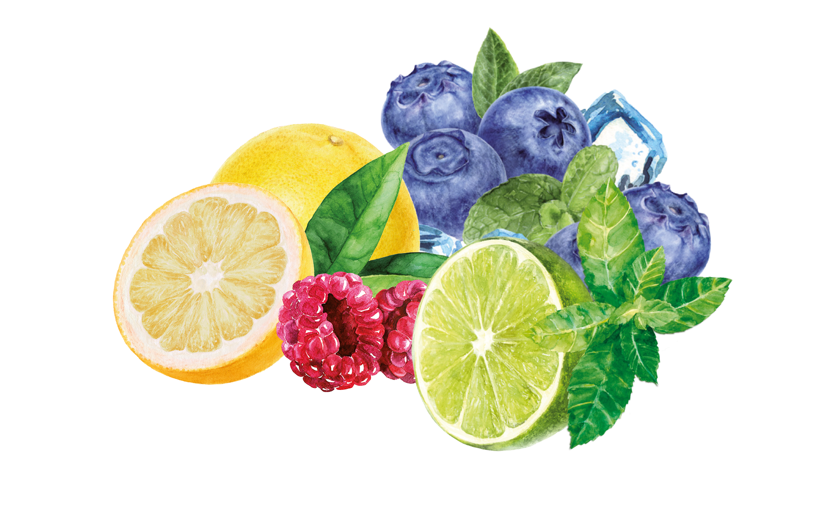 teinacher-blog-mocktail-magie-schritt-02-frische-macht-den-unteerschied Illustration mit Zitrone, Himbeeren, Blaubeeren, Minzblättern und Eiswürfeln als frische Zutaten für Mocktails.