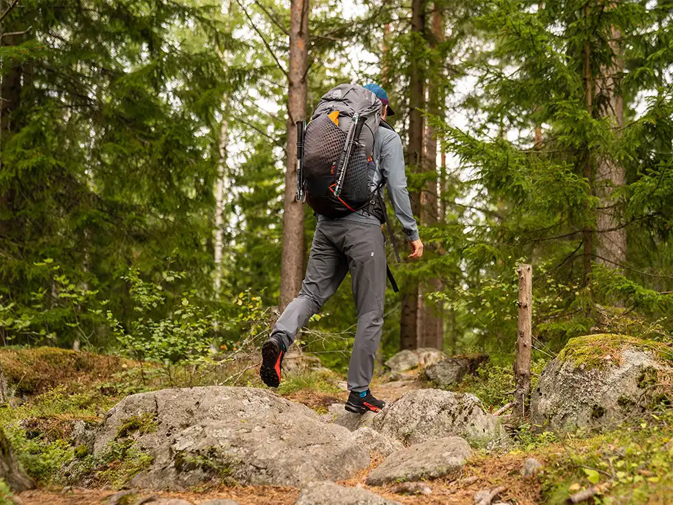 Person mit großem Wanderrucksack und Trekkingstöcken wandert auf einem Waldweg, umgeben von dichtem Nadelwald