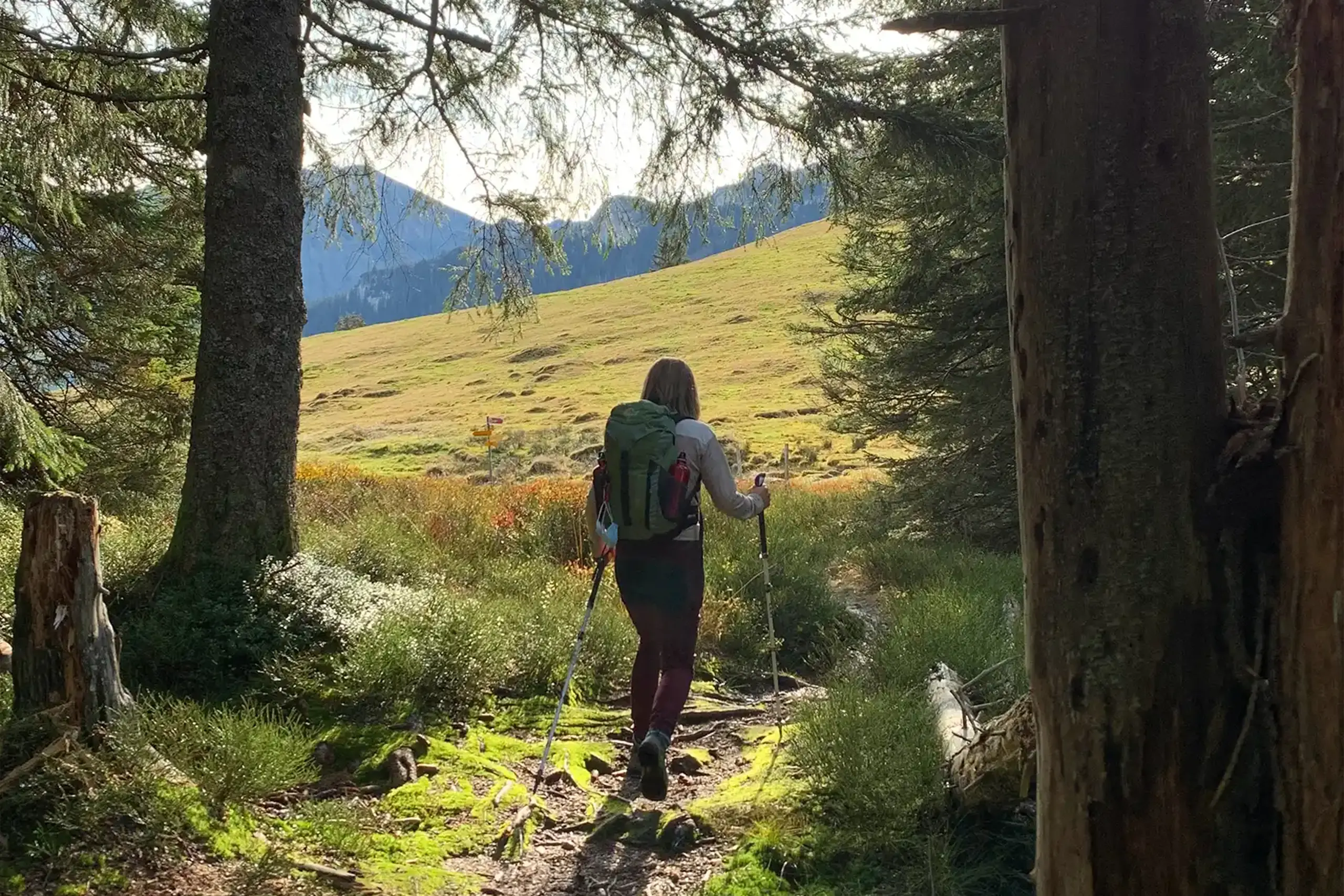 Wanderin mit Rucksack und Stöcken auf einem Waldweg mit Blick auf sonnige Bergwiesen im Schwarzwald