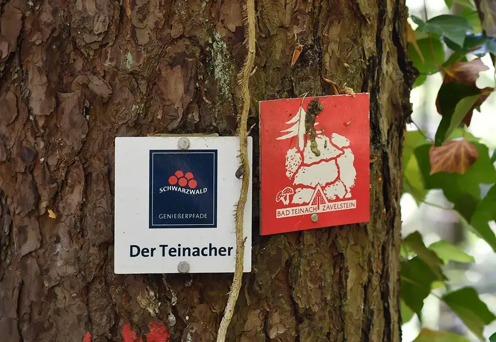 Unterwegs im unbekannten Nordschwarzwald