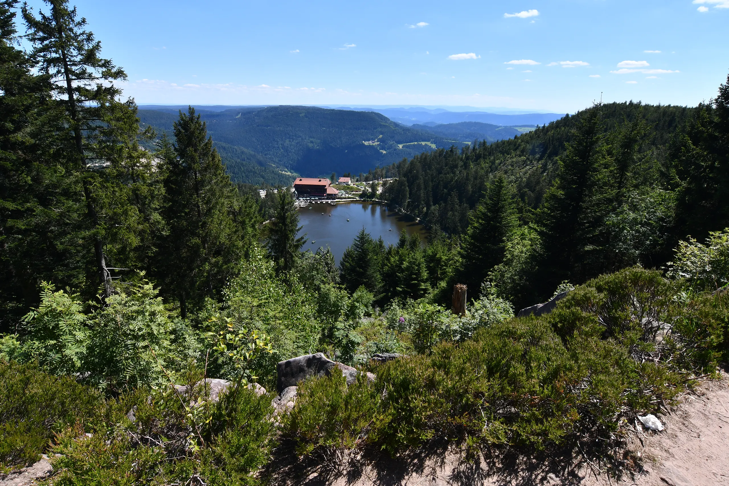 Blick auf den Mummelsee und die bewaldeten Höhen des Schwarzwalds bei sonnigem Wetter