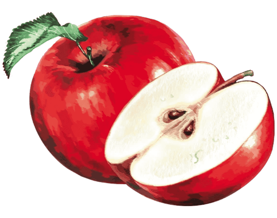 Illustration eines ganzen roten Apfels und eines halbierten Apfels