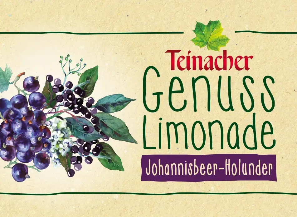 Teinacher Genuss-Limonade Johannisbeer-Holunder mit illustrierten Beeren und Holunderblüten auf hellem Etikett