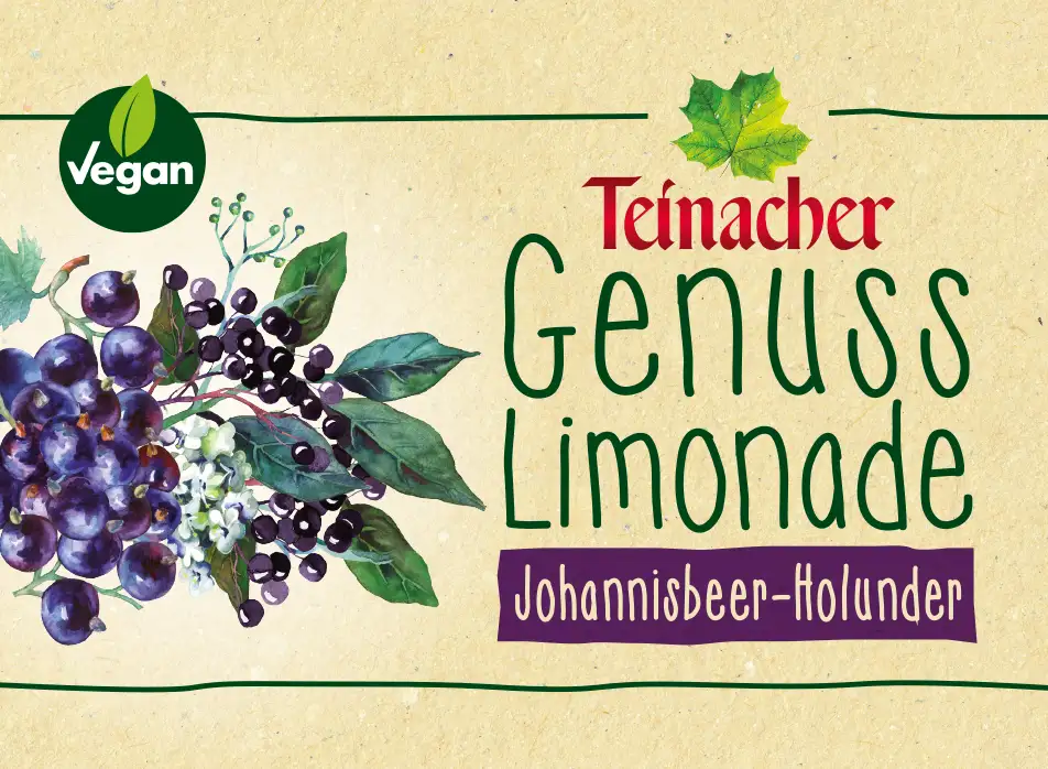 Etikett Teinacher Genuss-Limonade Johannisbeer-Holunder mit Illustrationen von Holunderbeeren