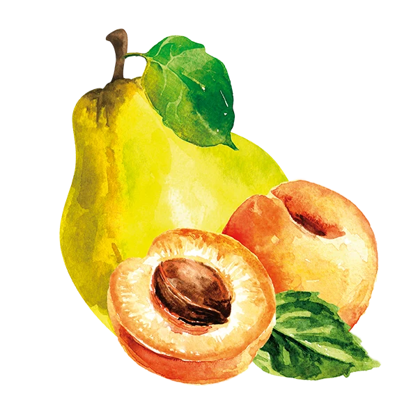 teinacher-pfirsich-quitte-produktdetailseite-frucht