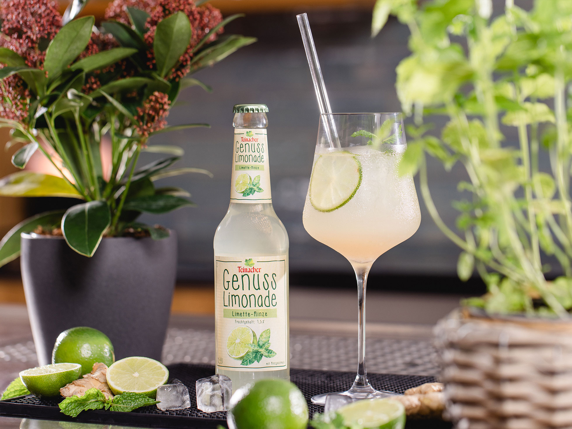 Flasche Teinacher Genuss Limonade Limette-Minze neben einem gefüllten Glas mit Eis und Limettenscheibe, umgeben von Limetten, Ingwer und Kräutern