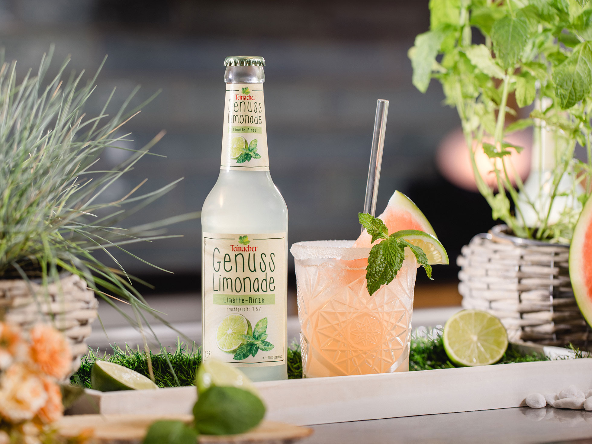 Flasche Teinacher Genuss Limonade Limette-Minze neben einem Glas mit Eis, Limette, Minze und Wassermelone, umgeben von Kräutern