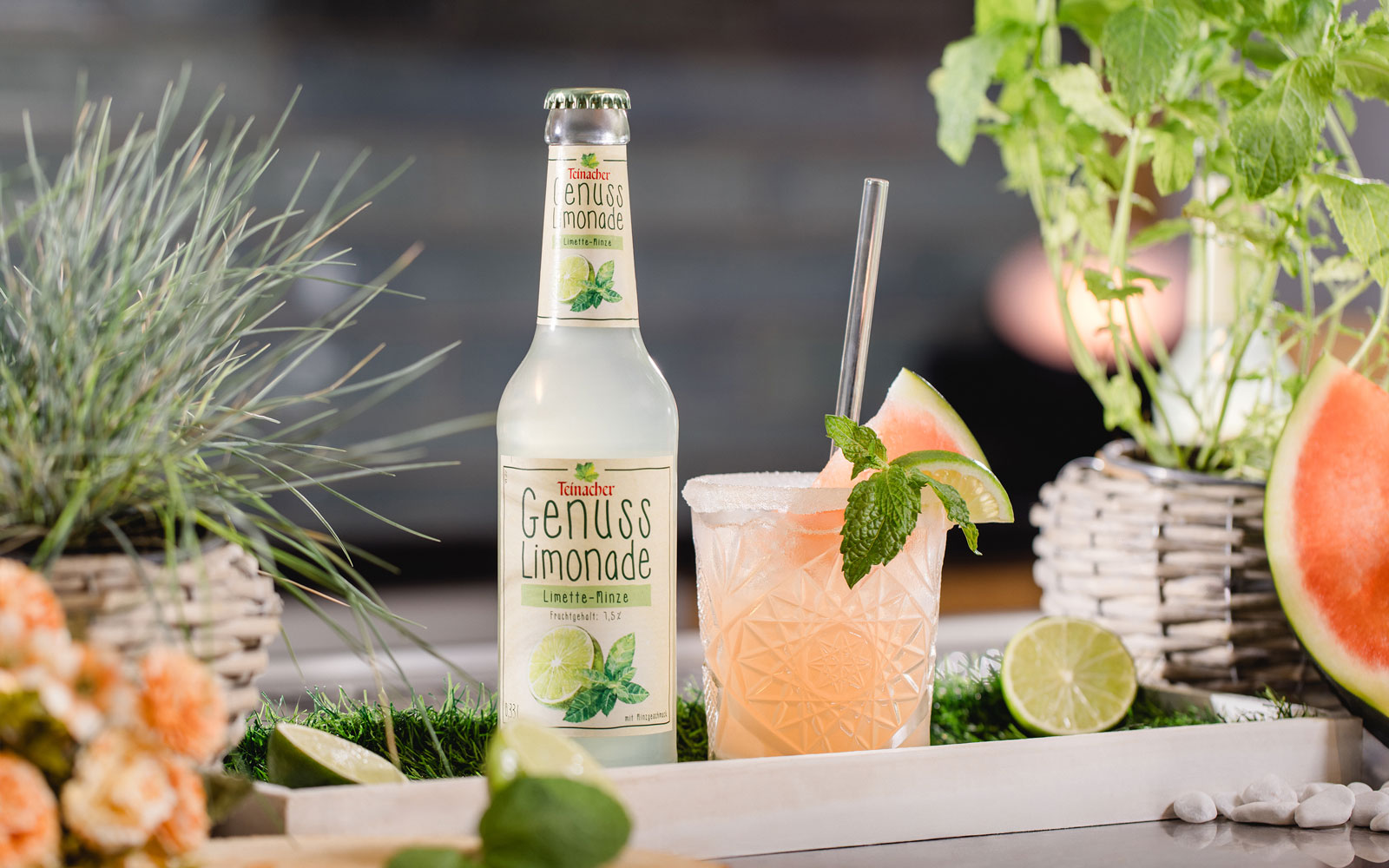 Flasche Teinacher Genuss Limonade Limette-Minze neben einem Glas mit Eis, Limette, Minze und Wassermelone, umgeben von Kräutern