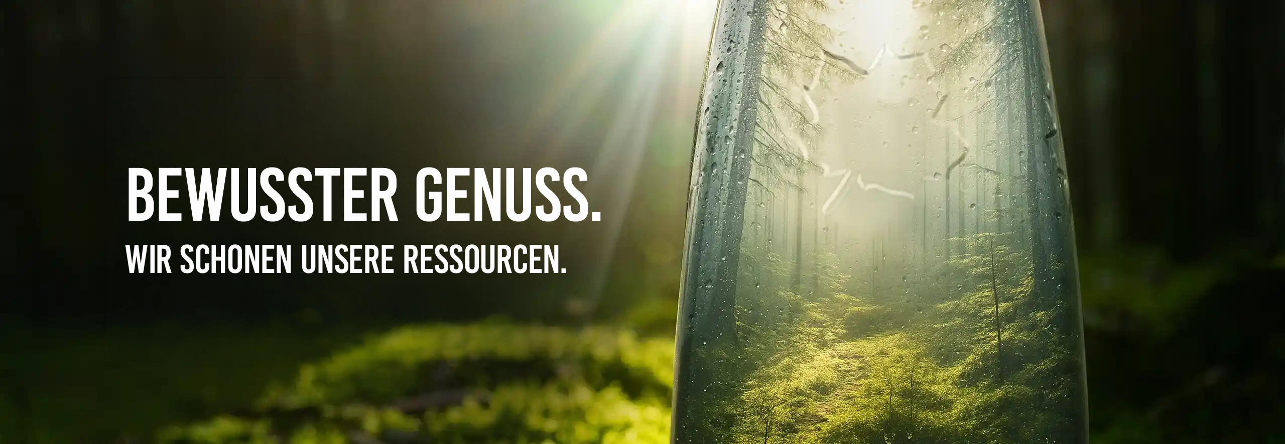 Waldspiegelung in einer Wasserflasche mit Sonnenstrahlen im Hintergrund inmitten eines Waldbodens.