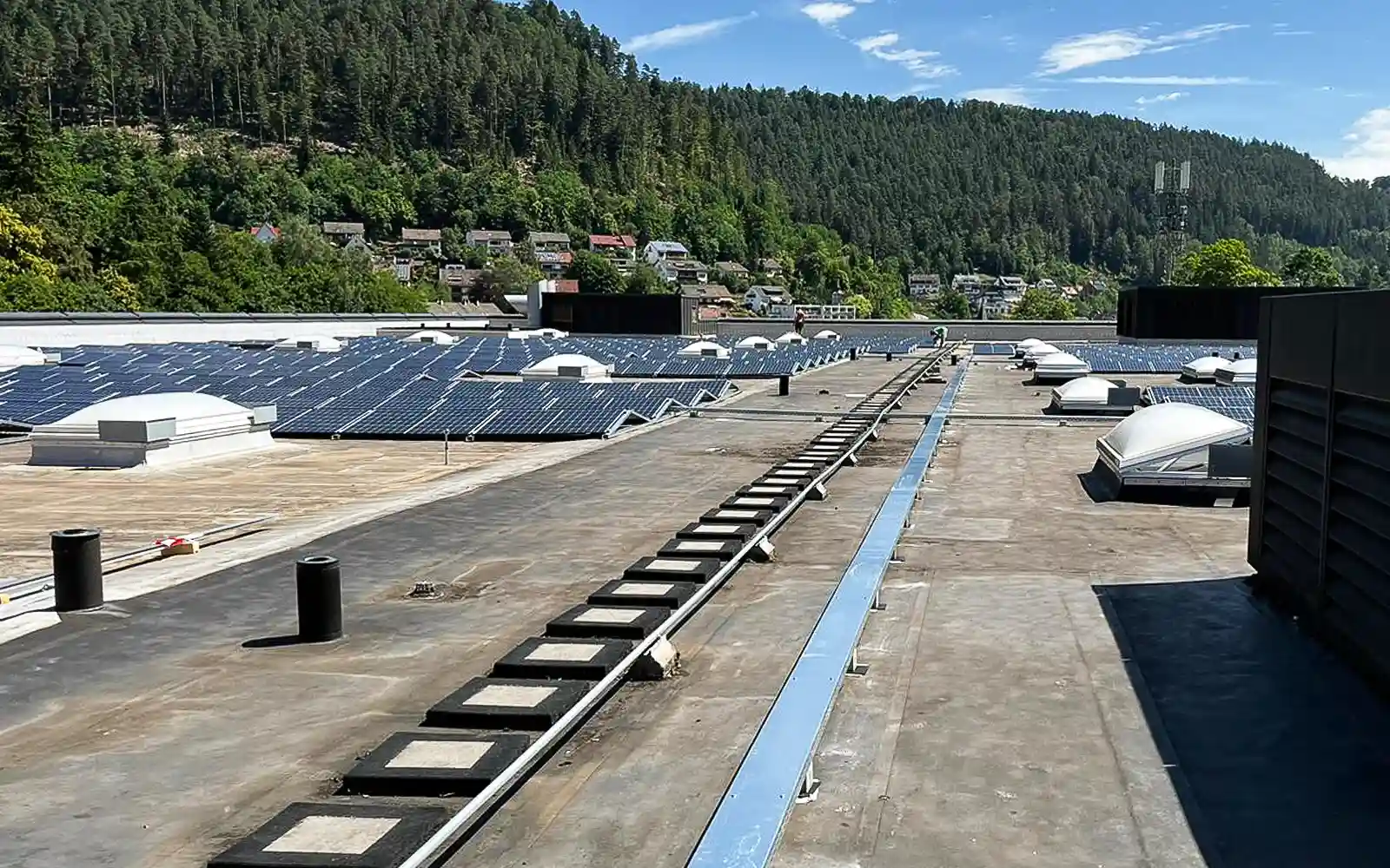 teinacher-wissenswert-nachhaltigkeit-solarenergie Große Solarpanel-Fläche vor nebelverhangenem Wald – Symbol für nachhaltige Energiegewinnung.