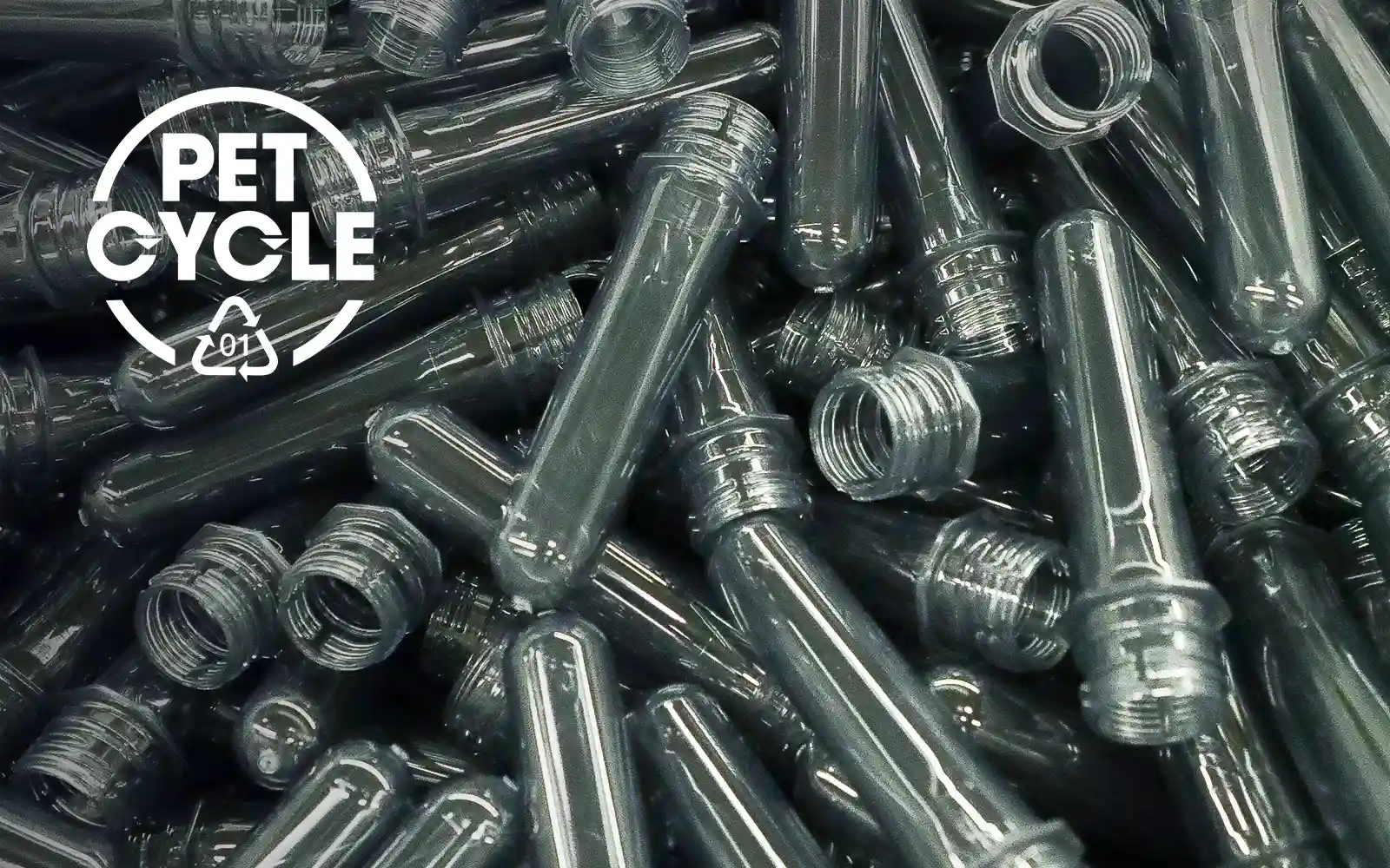teinacher-wissenswert-petcycle-pet-recycling Nahaufnahme von transparenten PET-Vorformen mit PETCYCLE-Logo – Grundlage für recyclingfähige Getränkeflaschen.