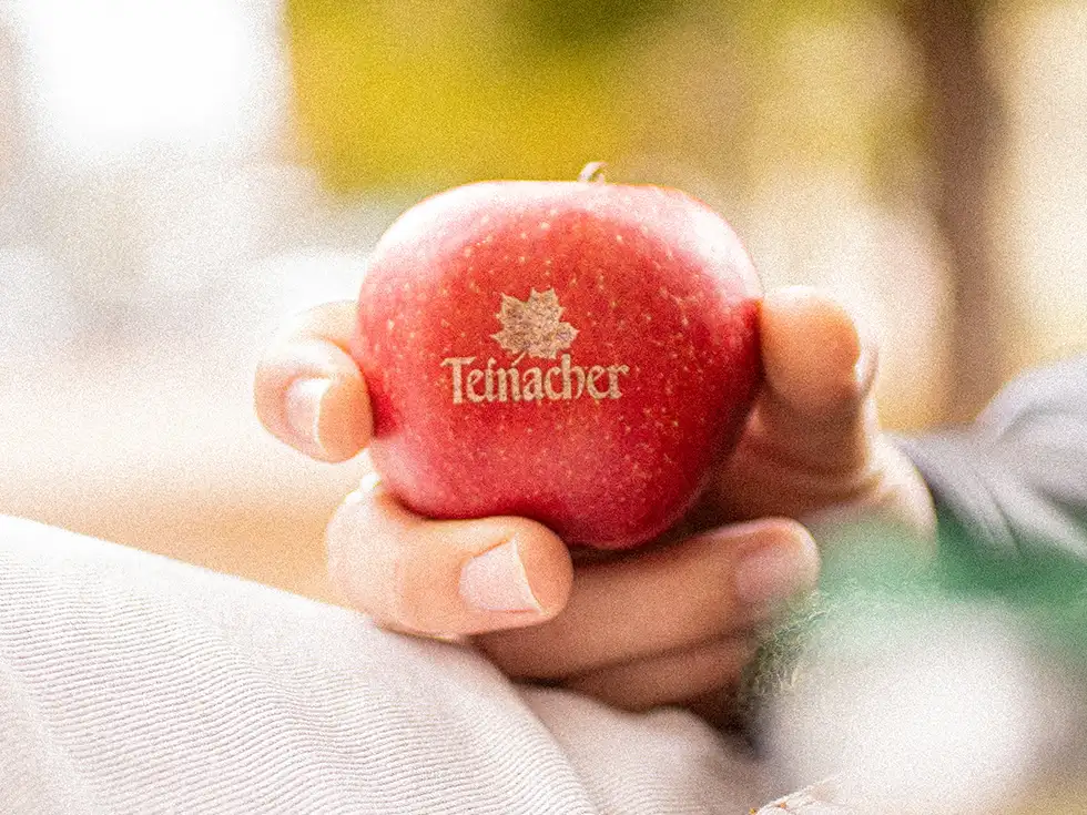 Roter Apfel mit Teinacher-Logo in der Hand – Symbol für regionale Frische, Qualität und natürlichen Genuss