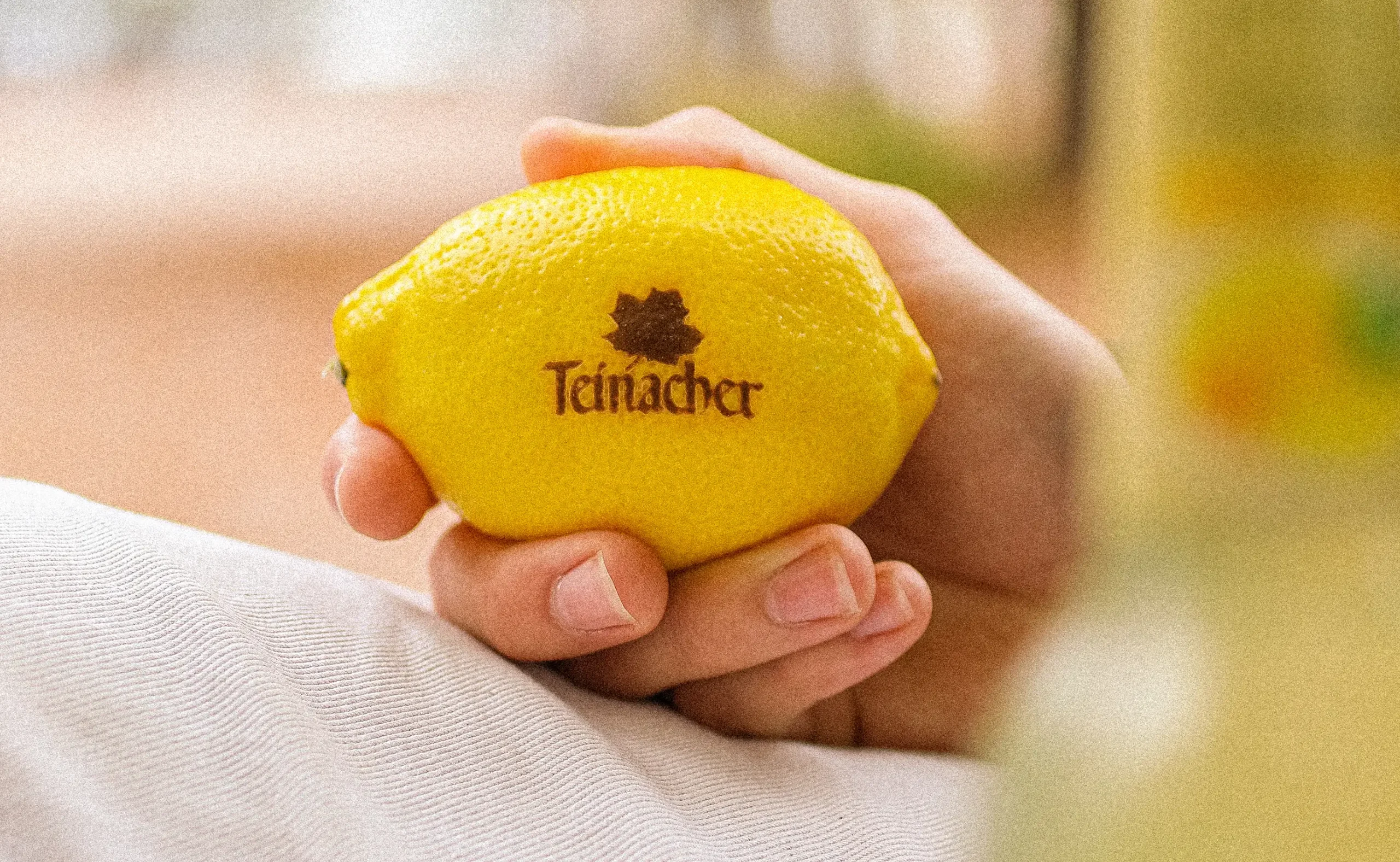 Zitrone mit Teinacher Logo wird in einer Hand gehalten