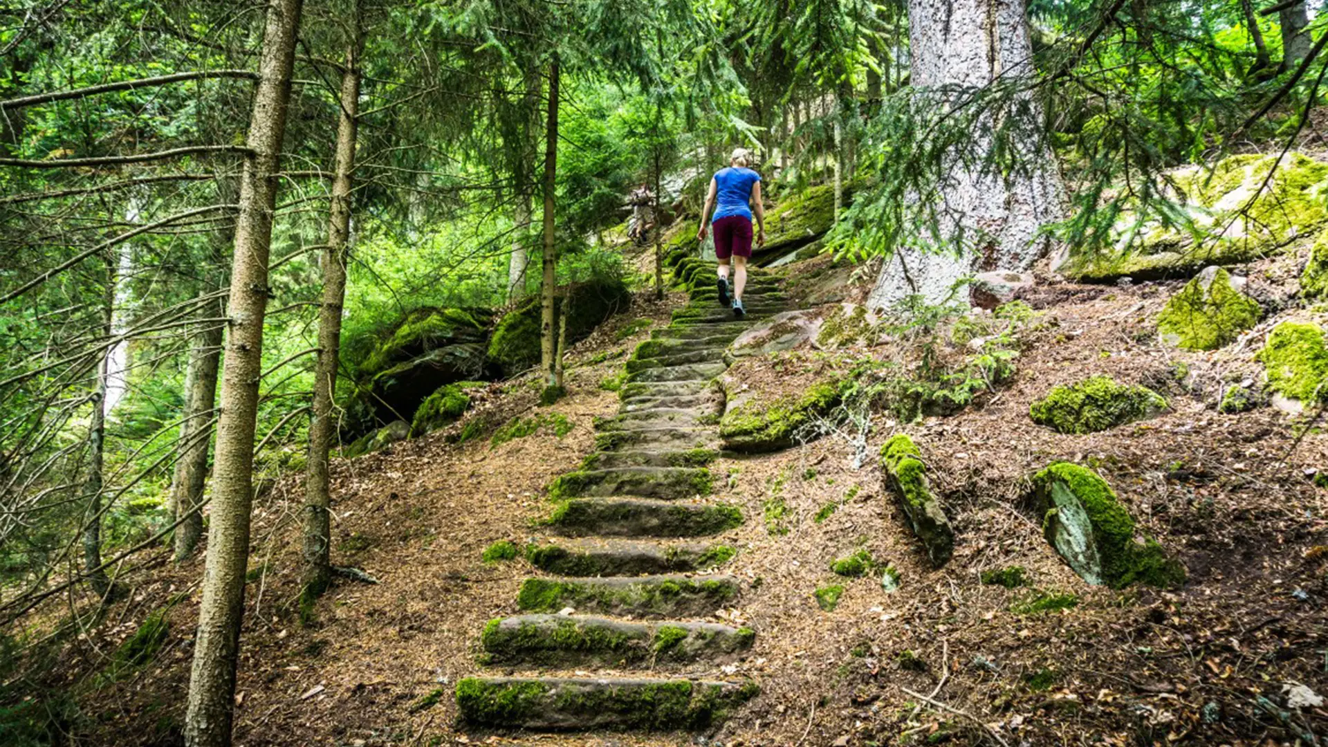 teinacher_blog_natur_und_umwelt_natur_wanderung_bild