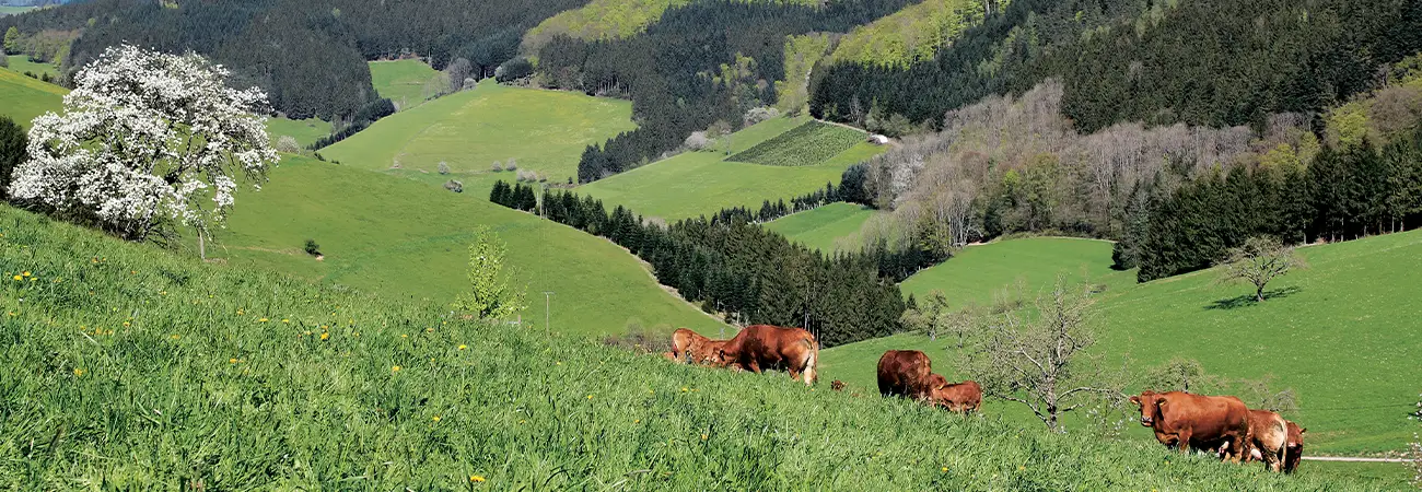 teinacher_blog_natur_und_umwelt_naturpark_genuss_header_bild