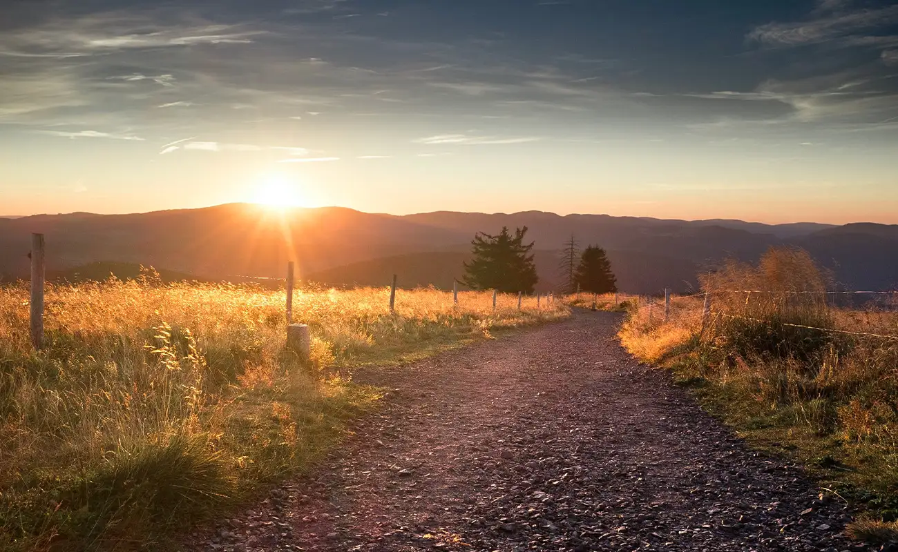 teinacher_blog_sommer_sonne_limonade_landschaft_schwarzwald