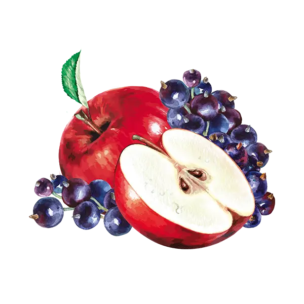 teinacher_direktsaftschorle_apfel_johannisbeere_frucht