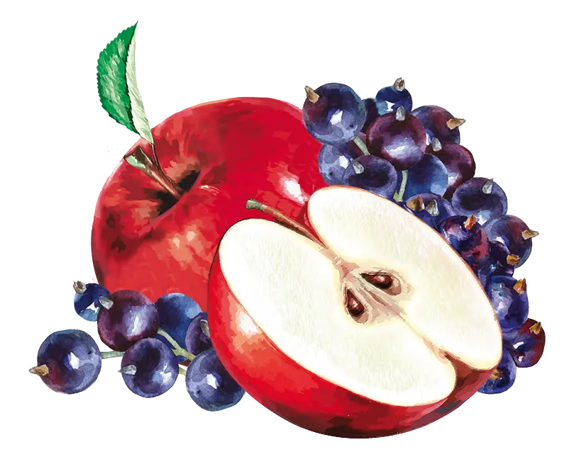 teinacher_direktsaftschorle_apfel_johannisbeere_produktseite