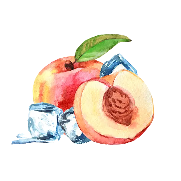 teinacher_eistee_pfirsich_frucht