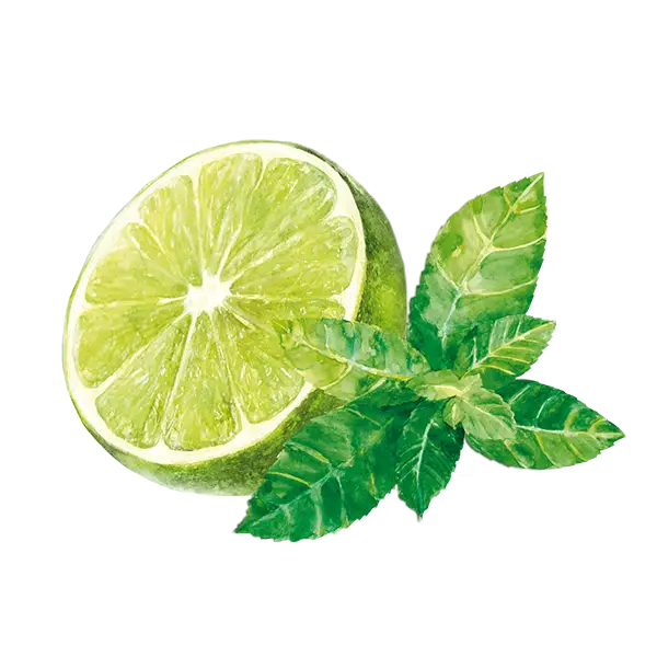 teinacher_genuss_sortiment_limette_minze_frucht