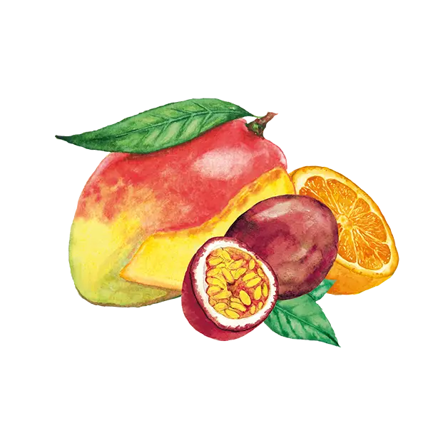 teinacher_genuss_sortiment_mango_maracuja_orange_frucht