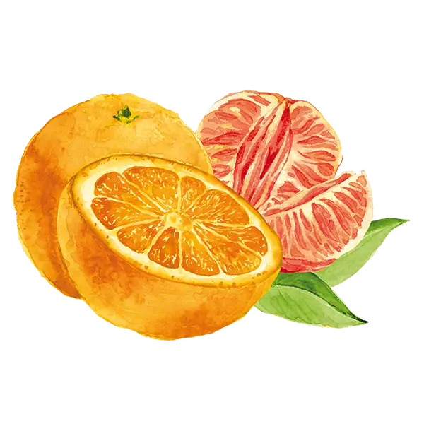 teinacher_genuss_sortiment_orange_mandarine_frucht