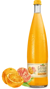 teinacher_genuss_sortiment_orange_mandarine_frucht_und_flasche