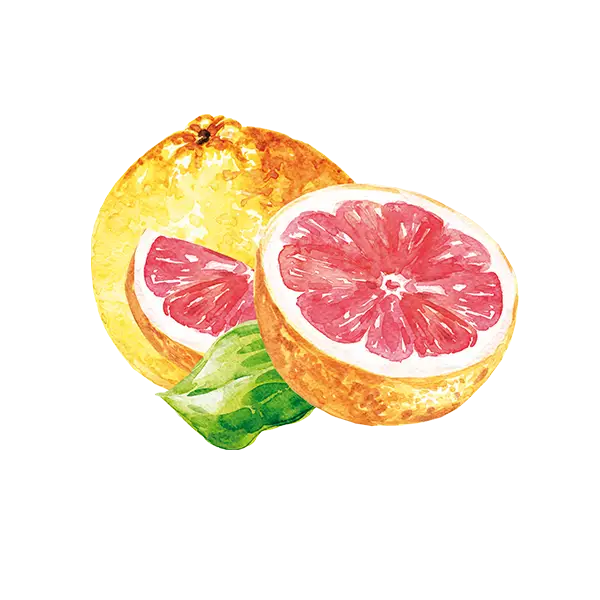 teinacher_genuss_sortiment_pink-grapefruit_frucht