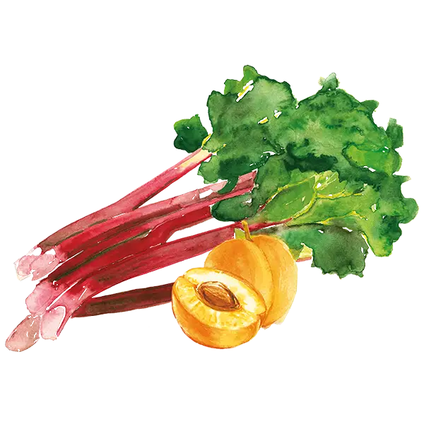teinacher_genuss_sortiment_rhabarber_mirabelle_frucht
