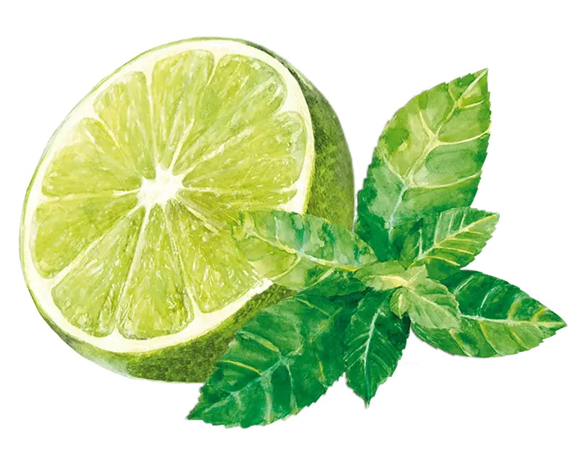 teinacher_limette_minze