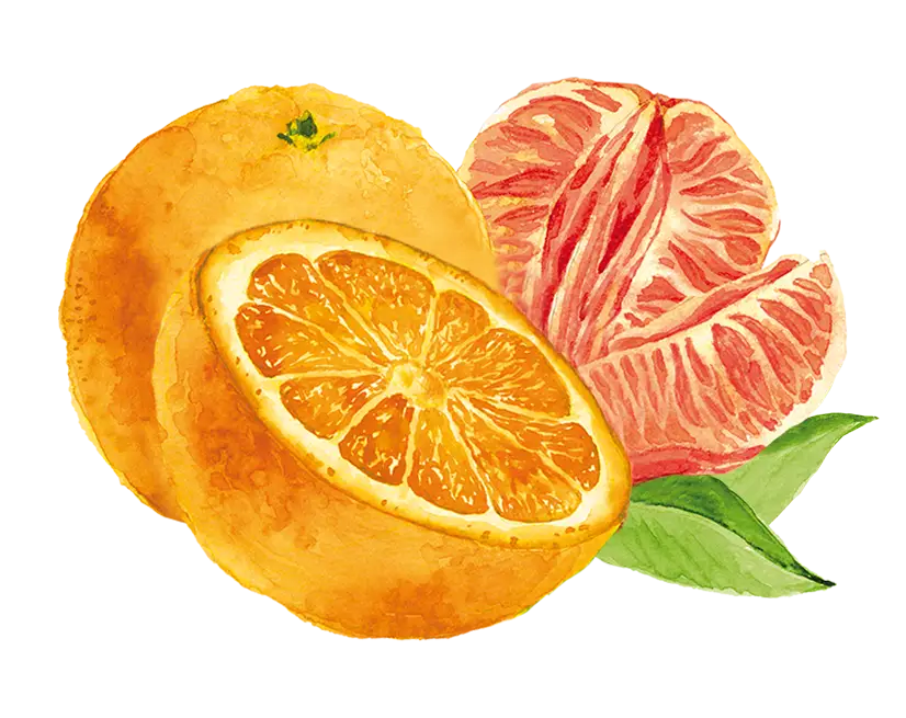 teinacher_orange_mandarine_produktseite