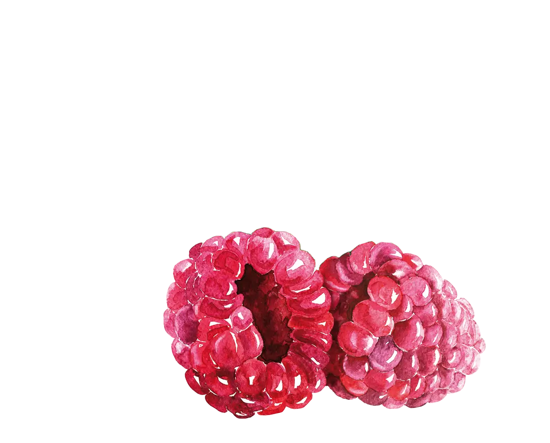 teinacher_produkt_detailseite_apfel_himbeere_bild_himbeere