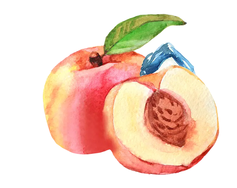 teinacher_produkt_detailseite_eistee_pfirsich_frucht_hintergrund