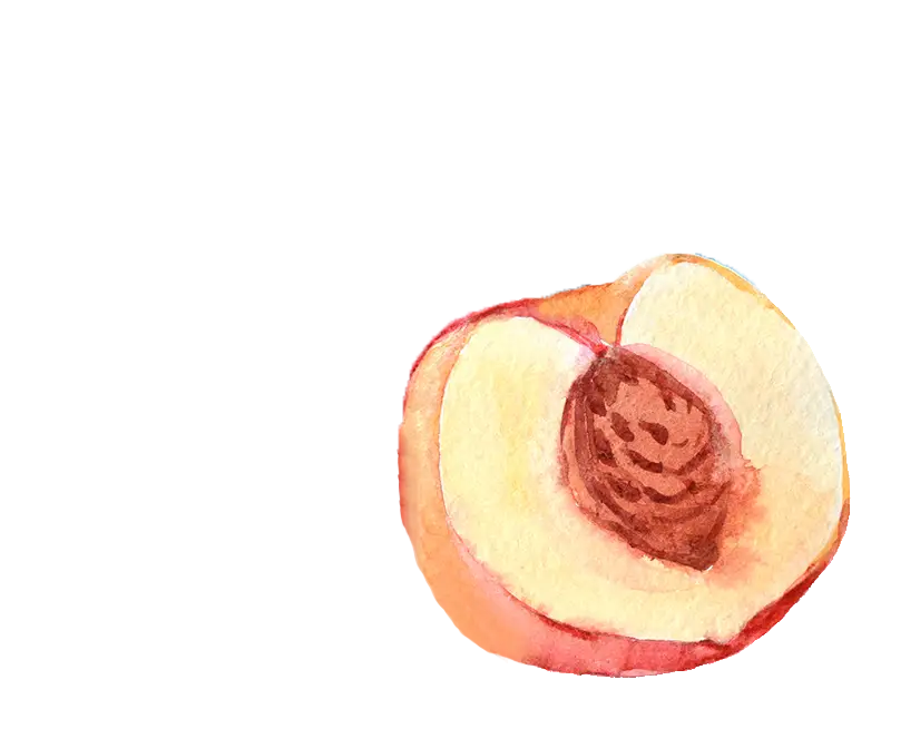 teinacher_produkt_detailseite_eistee_pfirsich_frucht_vordergrund