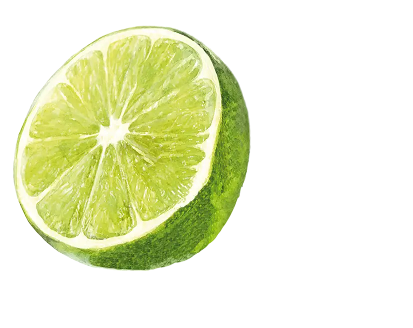 teinacher_produkt_detailseite_limette_minze_frucht